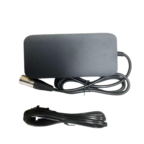 BG10 Battery Charger