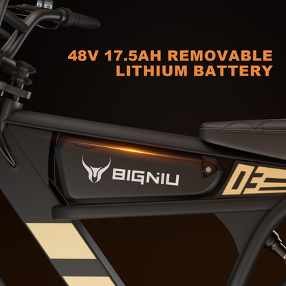 BIGNIU BG-03 Electric Bike
