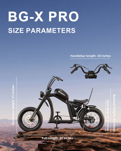 BIGNIU BG-X PRO Adult Electric Bike