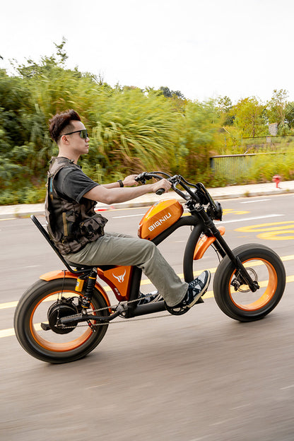 BIGNIU BG-X PRO Adult Electric Bike
