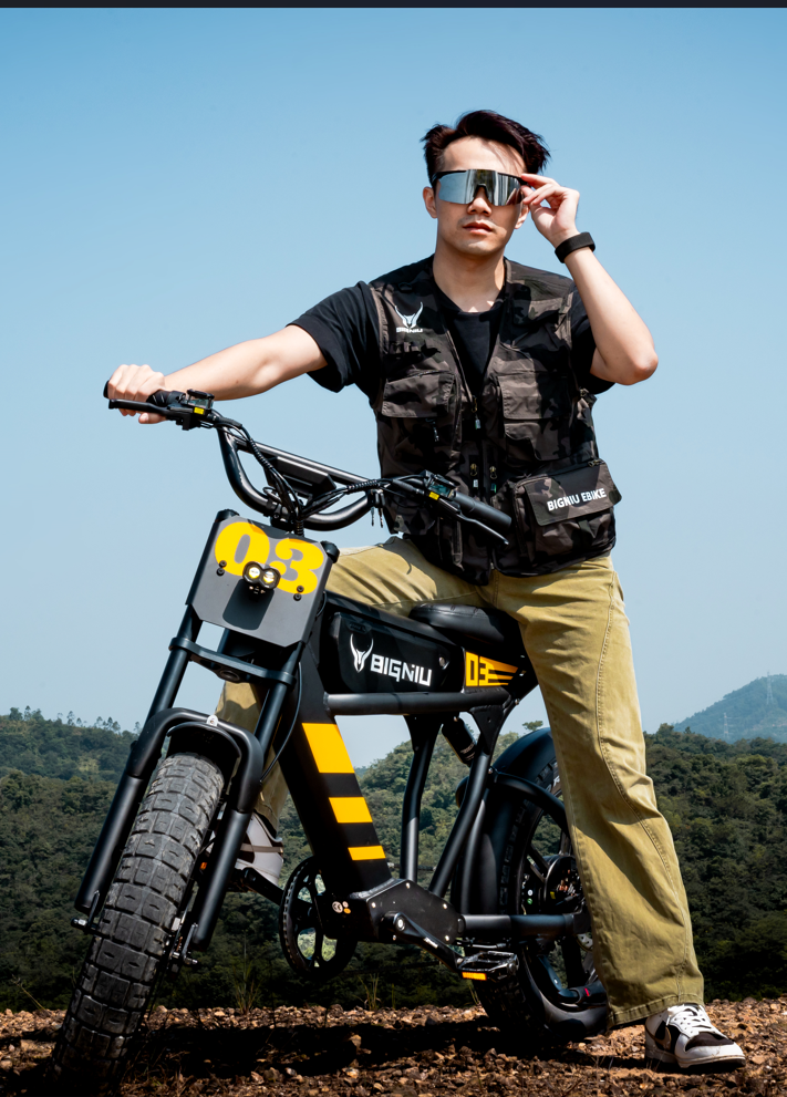BIGNIU BG-03 Electric Bike