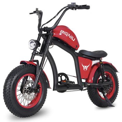 BIGNIU BGX Mini Electric Bike