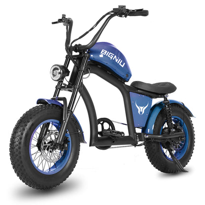 BIGNIU BGX Mini Electric Bike