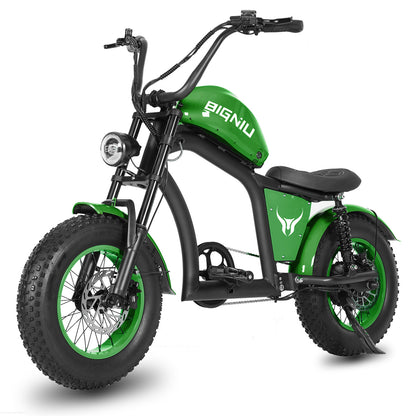 BIGNIU BGX Mini Electric Bike