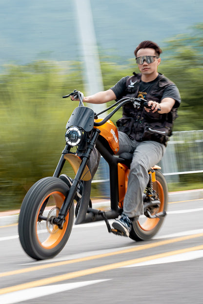BIGNIU BG-X PRO Adult Electric Bike