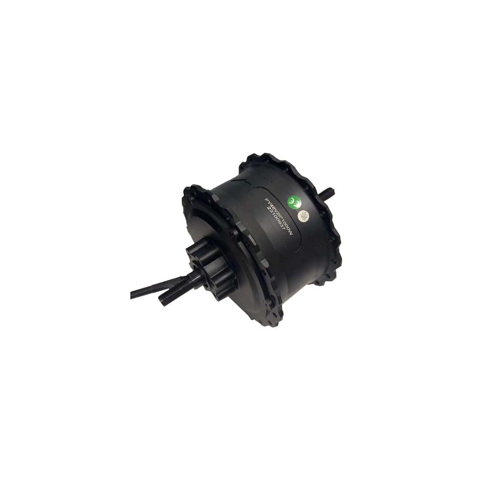 BIGNIU BGS Motor