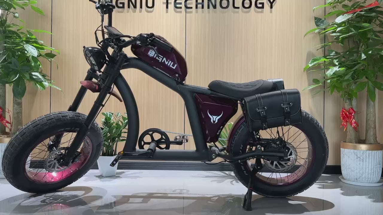 Load video: BGX Backpack Rack Kit（Couple）